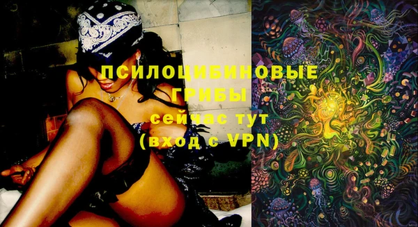 apvp Волоколамск