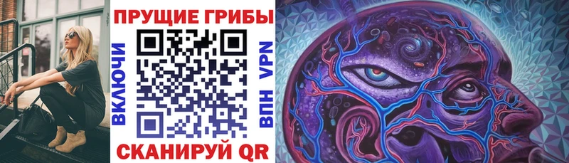 Галлюциногенные грибы GOLDEN TEACHER  Купить закладки  Холм 